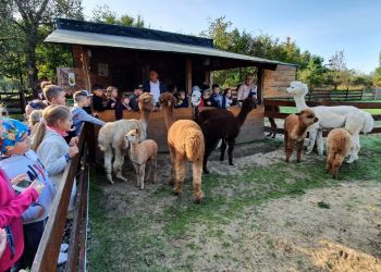 Powiększ zdjęcie: Zagroda ALPAQUERO (2)