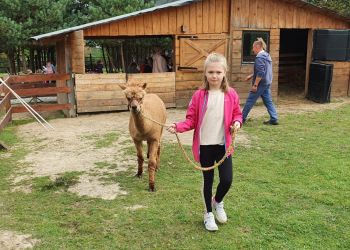 Powiększ zdjęcie: Zagroda ALPAQUERO (3)