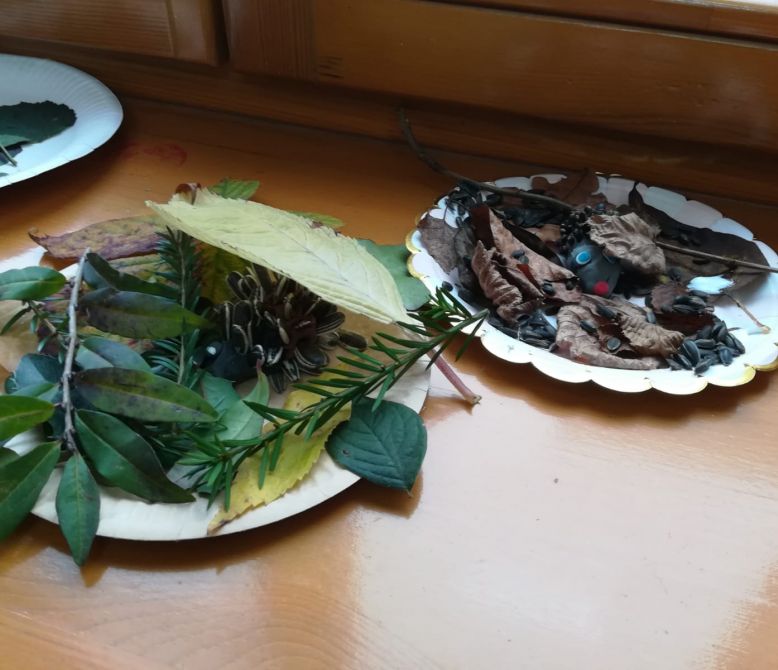 IMG-20211115-WA0015