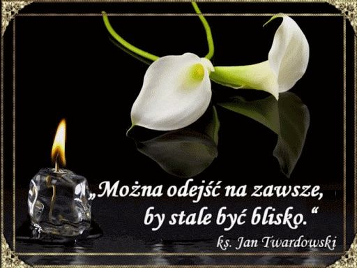 Brak opisu